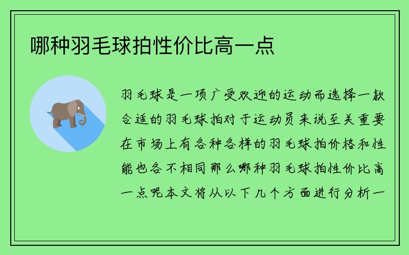 哪种羽毛球拍性价比高一点